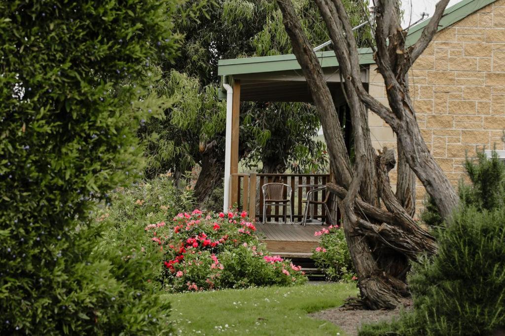 Daysy Hill Country Cottages Port Campbell Ngoại thất bức ảnh